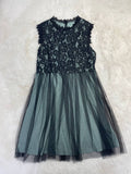 SH38007