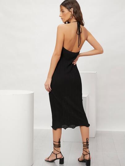 SH53079